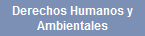 Derechos Humanos y Ambientales Human rights environment