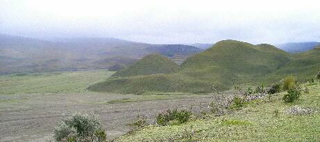 Páramo Andino Ecuador