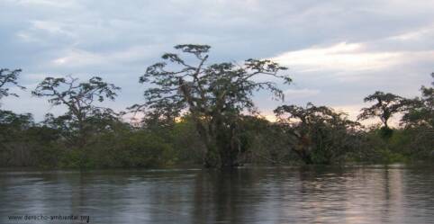 Ecuatorianischer Regenwald