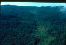 Achupallas Cordillera del Condor