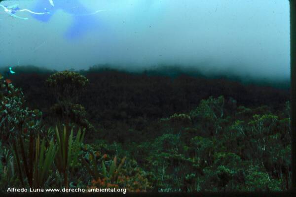 Achupallas Cordillera del Condor